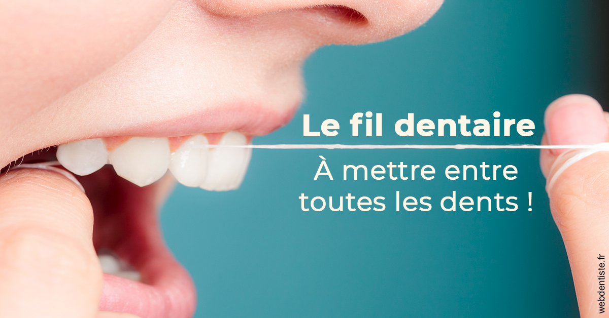 https://www.selarl-dentistes-le-canet.fr/Le fil dentaire 2