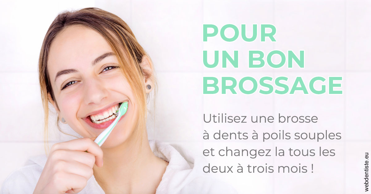 https://www.selarl-dentistes-le-canet.fr/Pour un bon brossage 2