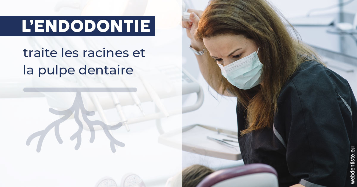 https://www.selarl-dentistes-le-canet.fr/L'endodontie 1