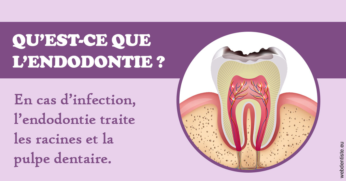 https://www.selarl-dentistes-le-canet.fr/2024 T1 - Endodontie 02