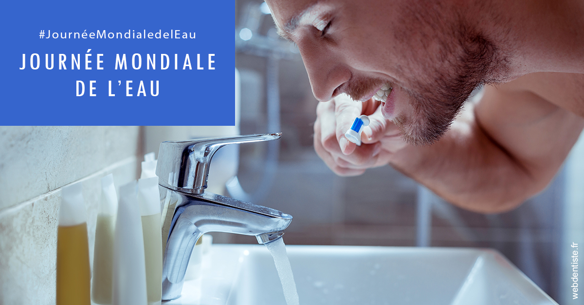 https://www.selarl-dentistes-le-canet.fr/Journée de l'eau 2