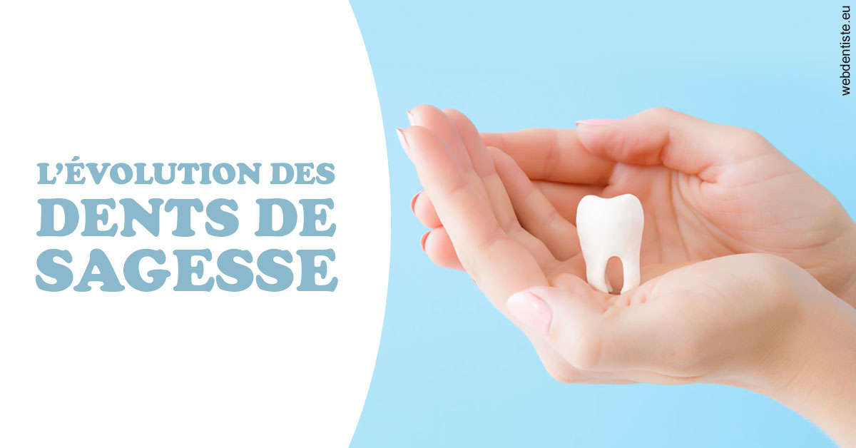 https://www.selarl-dentistes-le-canet.fr/Evolution dents de sagesse 1