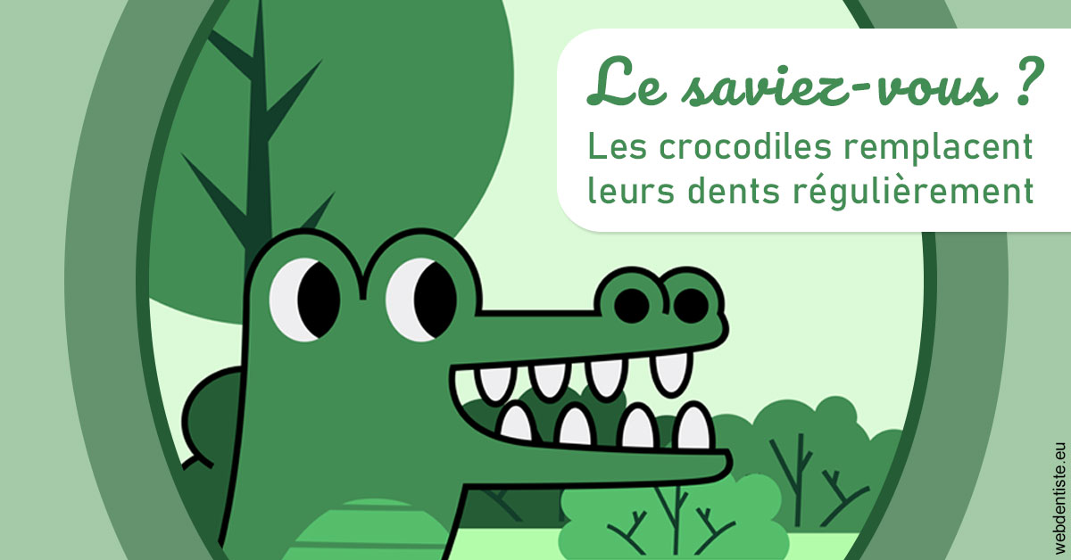 https://www.selarl-dentistes-le-canet.fr/Crocodiles 2