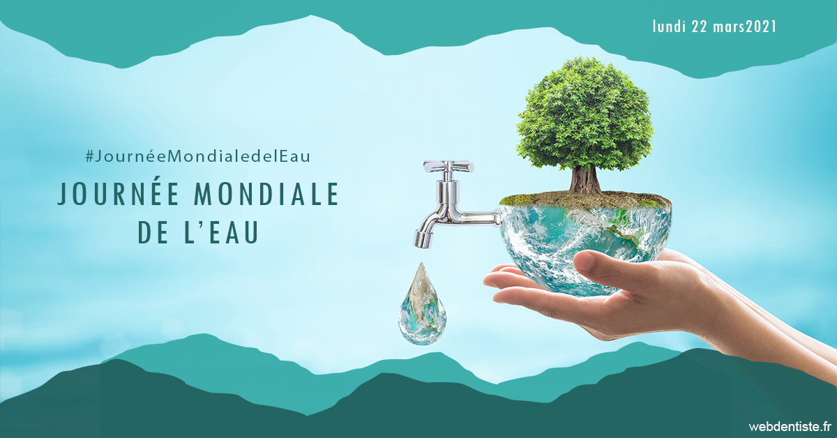 https://www.selarl-dentistes-le-canet.fr/Journée de l'eau 1