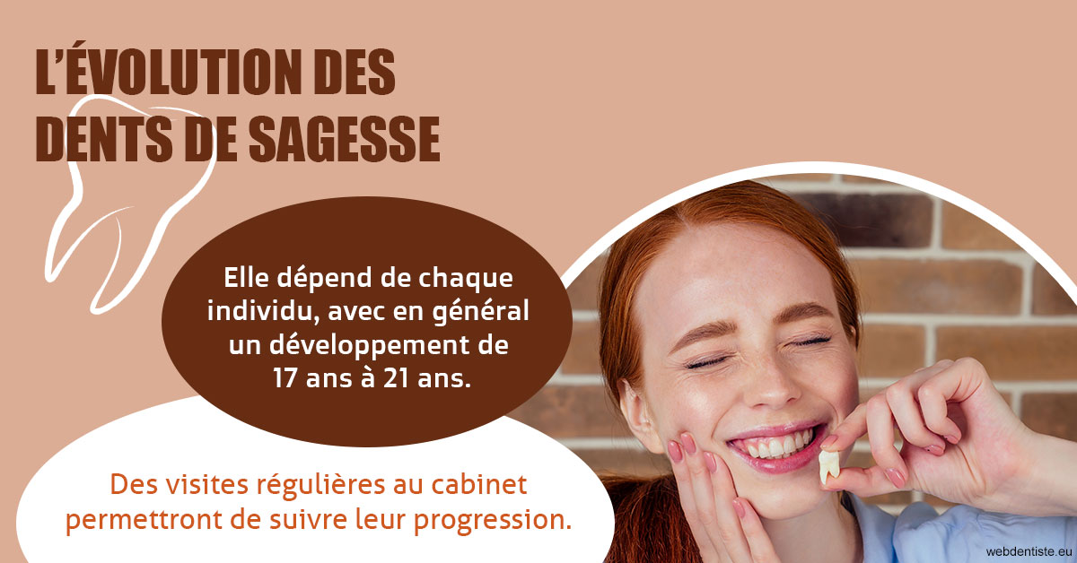 https://www.selarl-dentistes-le-canet.fr/2023 T4 - Dents de sagesse 02