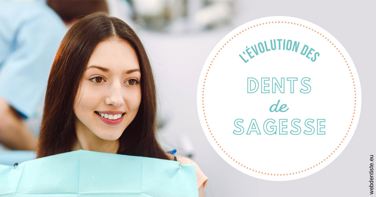 https://www.selarl-dentistes-le-canet.fr/Evolution dents de sagesse 2